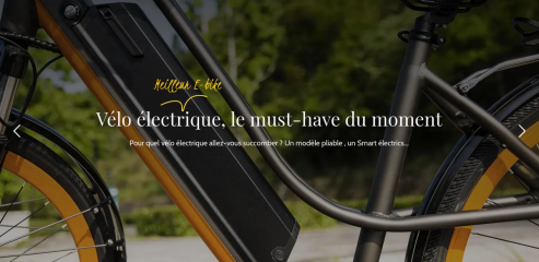 https://www.meilleurveloelectrique.fr