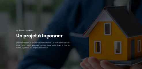 https://www.patrimoniaimmobilier.fr/